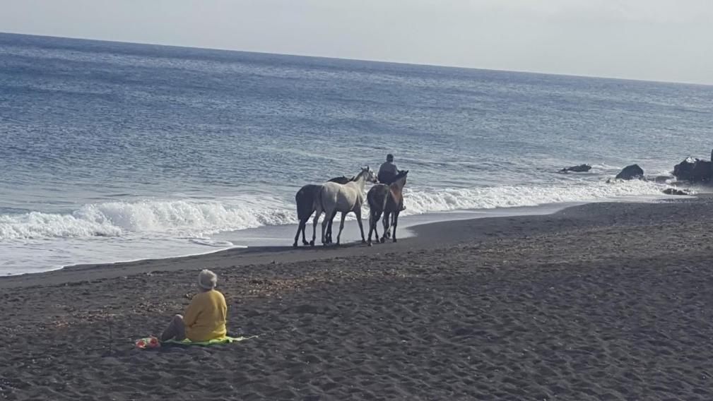 Santorini Pleasure Studios Fira  Dış mekan fotoğraf